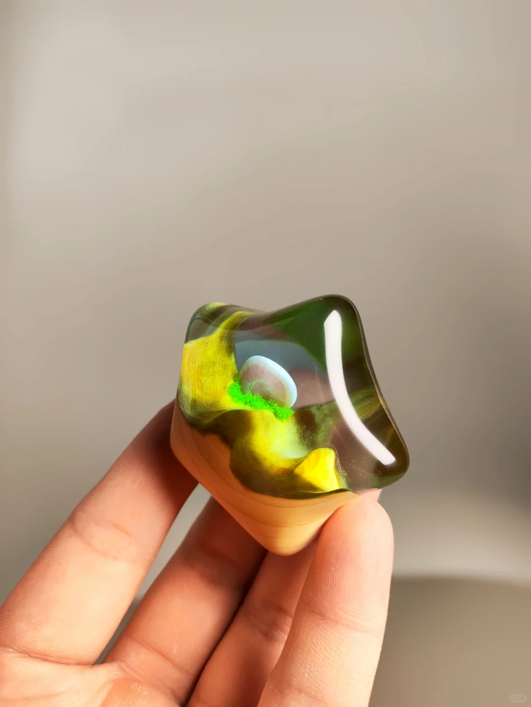 海洋之星制作过程来了