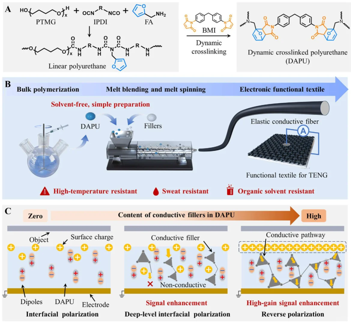 朱美芳院士团队,再发AM,导电纤维