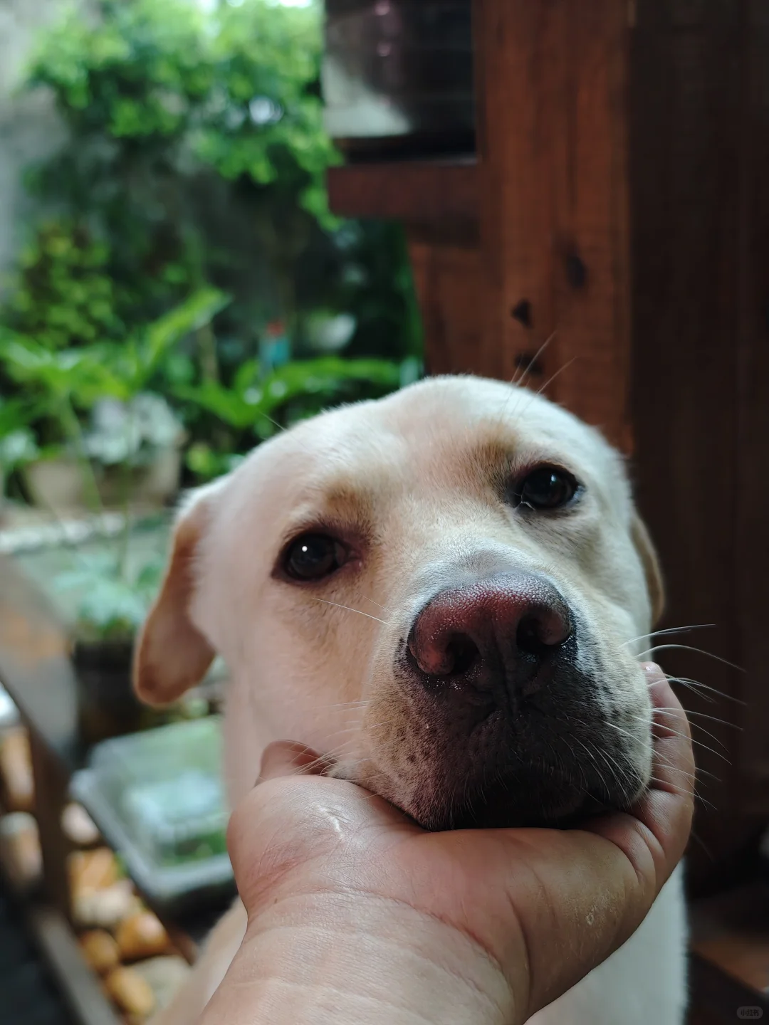 电动工具电池换电芯