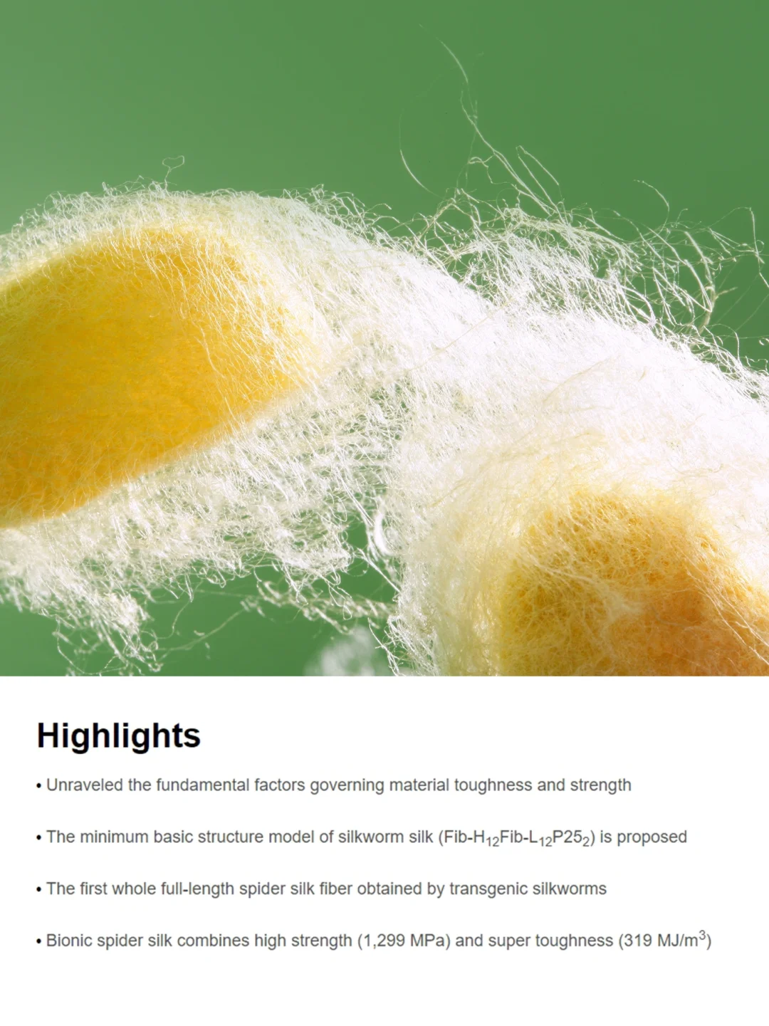 基因编辑：蚕能纺出蛛丝，超越防弹纤维