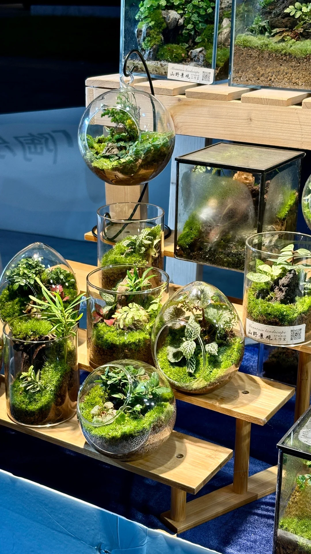 金融岛陶瓷展好物