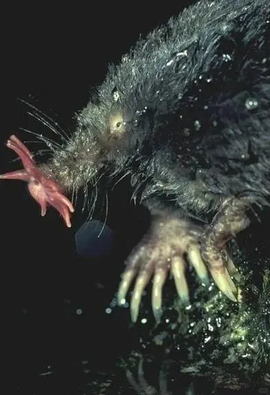 怎么能这么恶心?