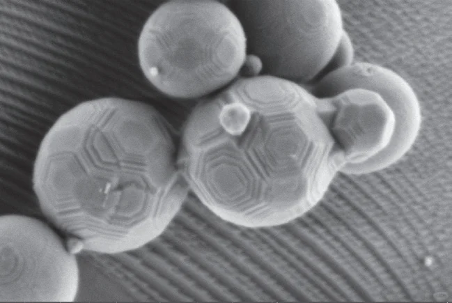 电镜推荐!一键搞定化学成分+结构分析!