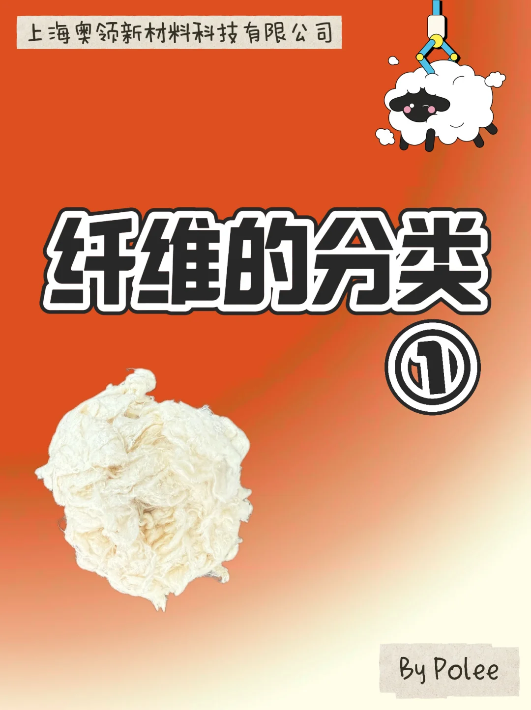 纤维的分类1️⃣