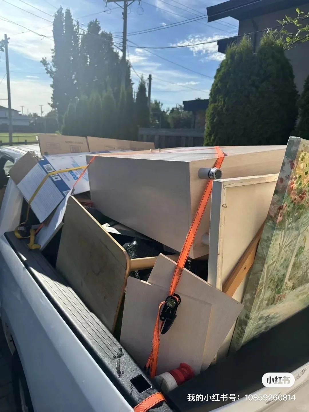 温哥华 垃圾分类 回收 让人头疼?