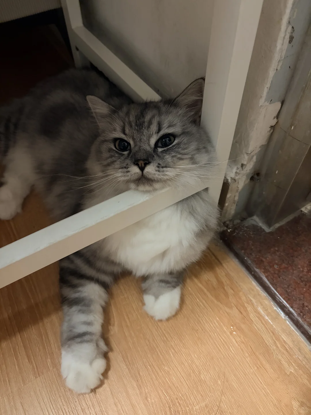 有没有电商采购 大货跟单