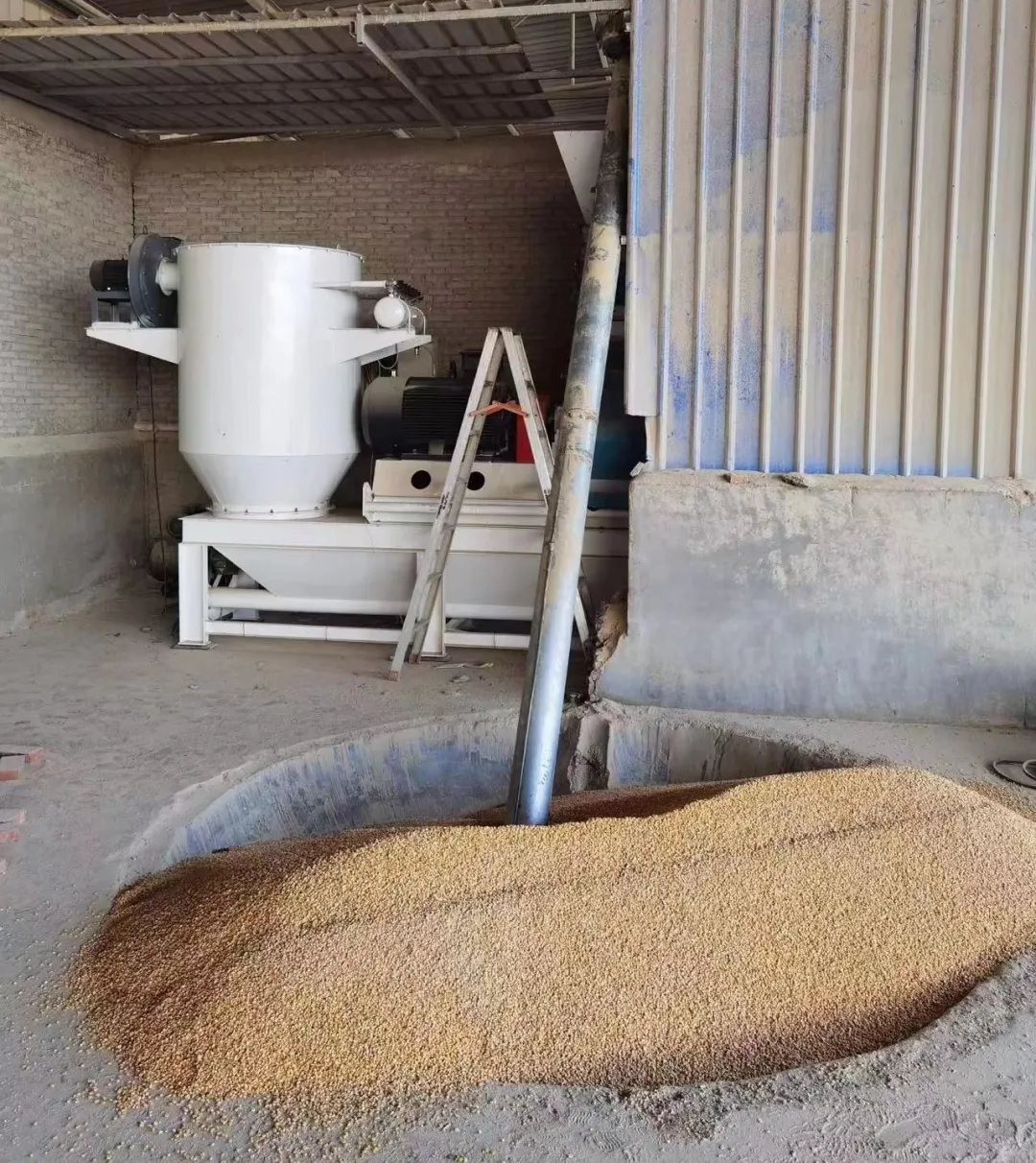 玉米饲料粉碎机械：现代畜牧业中的加工设备