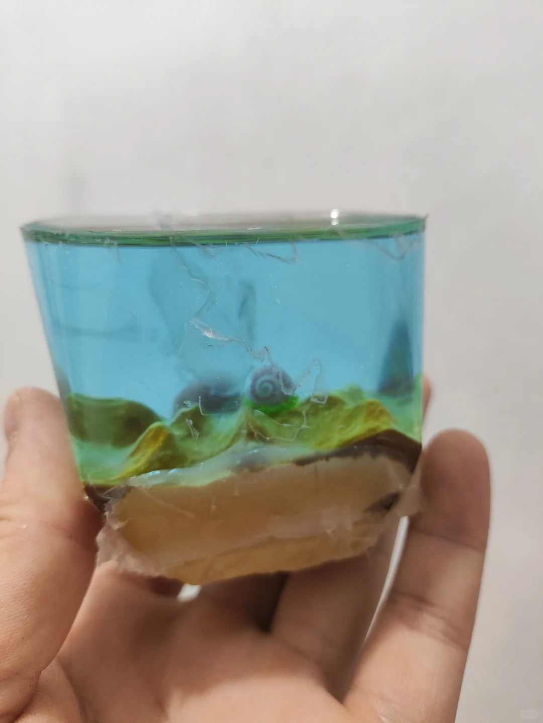 海洋之星制作过程来了