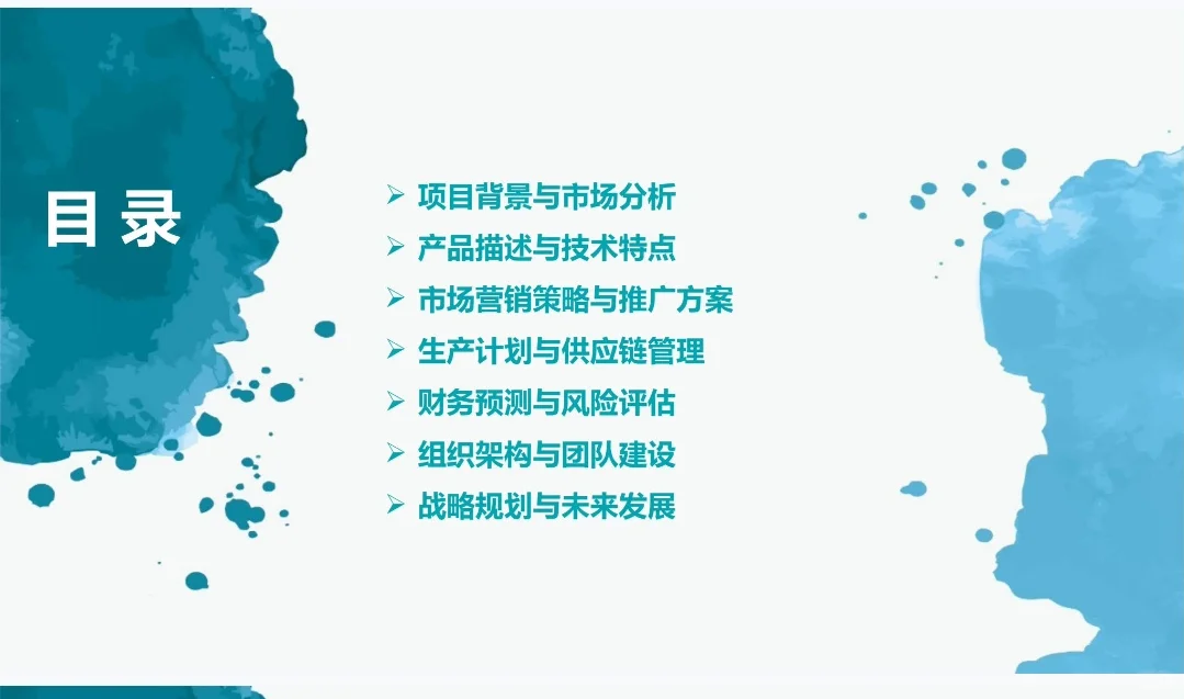 《水道清洁机器人创业计划书》Word➕PPT