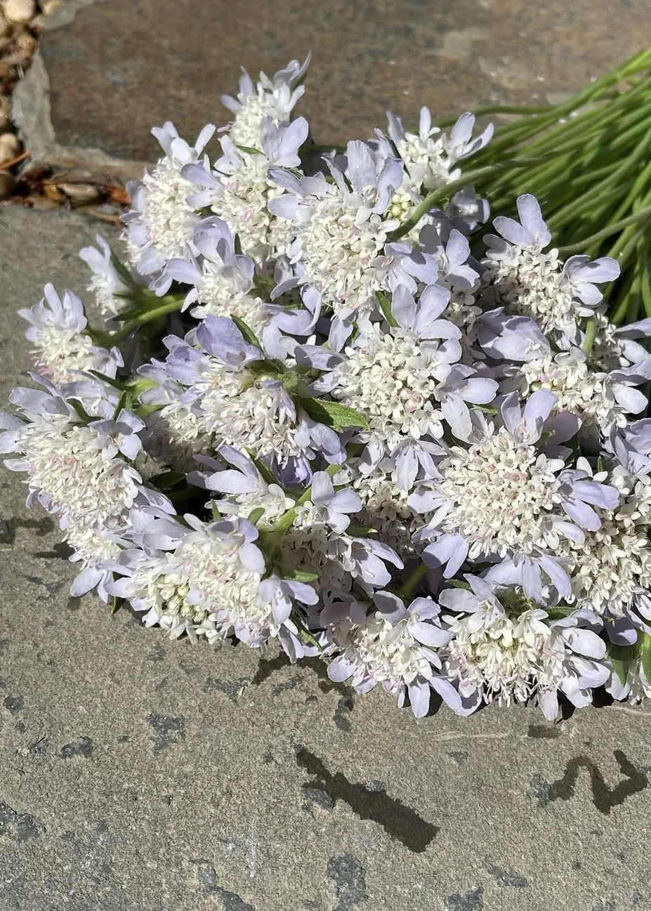 来点有趣的尝试