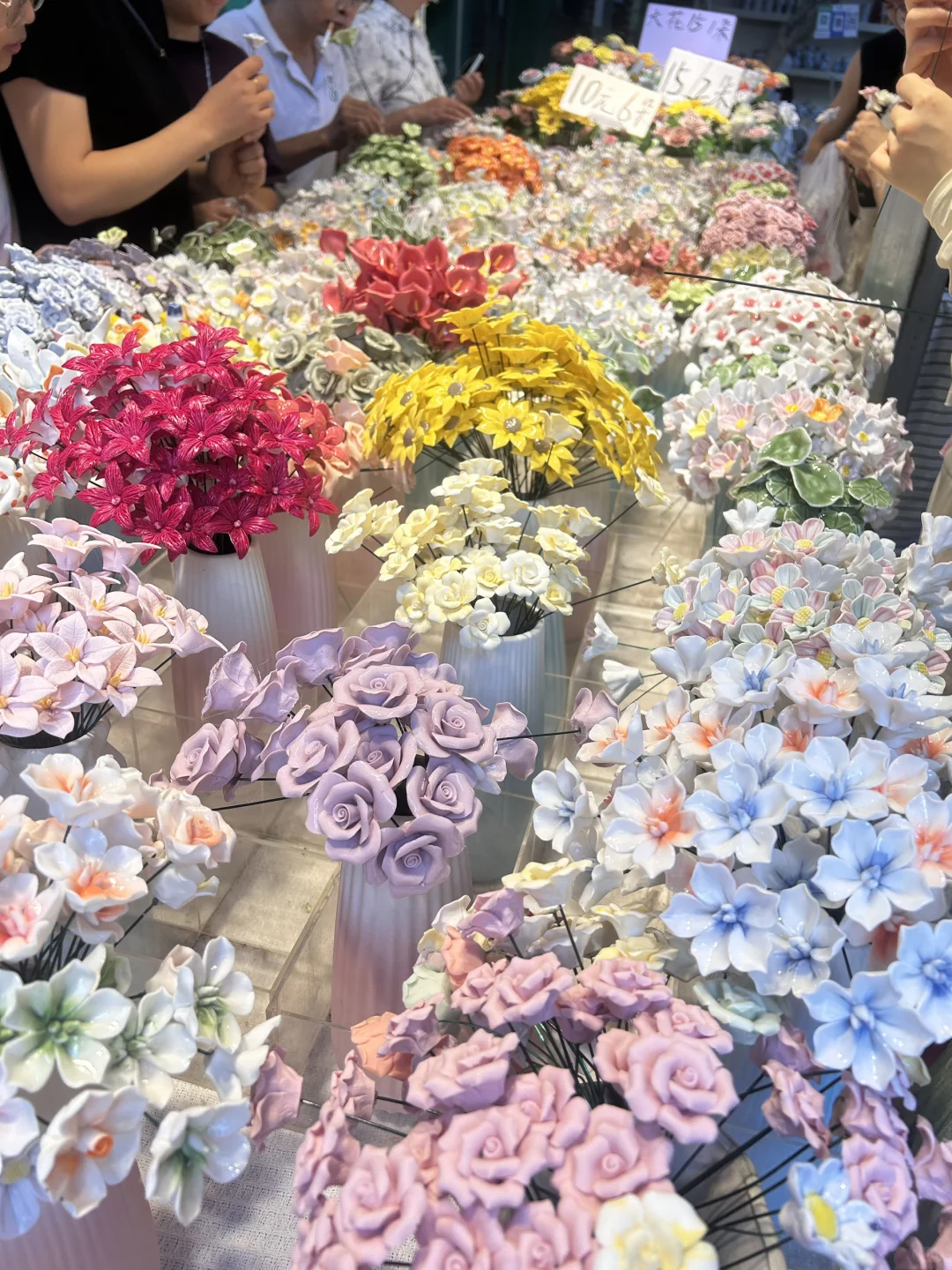 陶阳新村的花花带回家啦