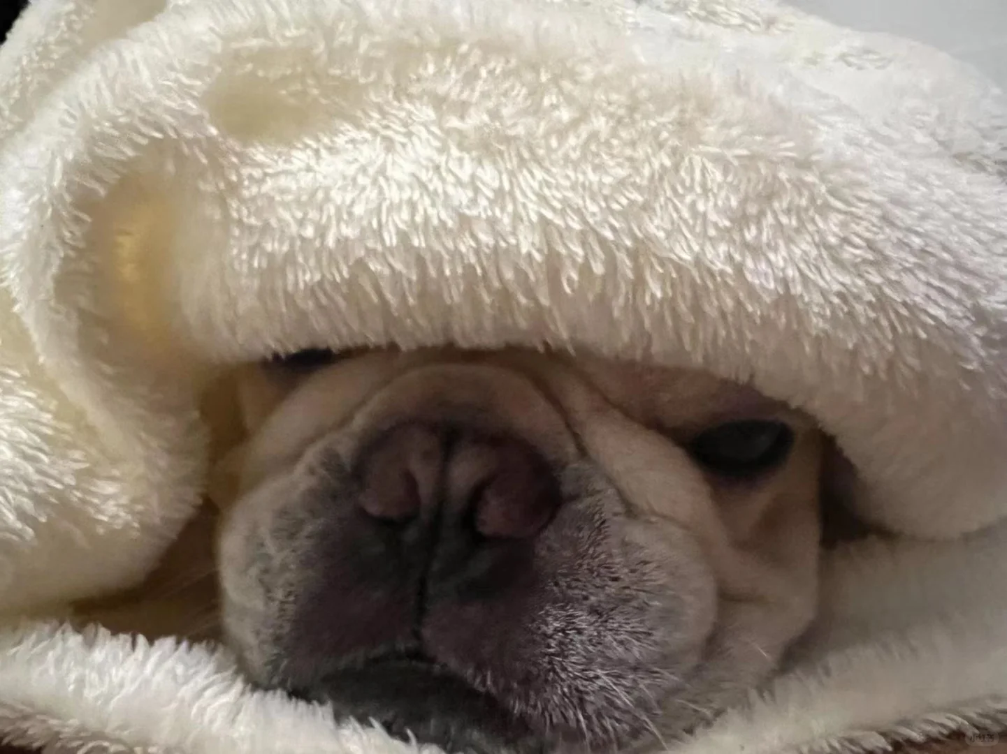 去北方买钢的伍建设