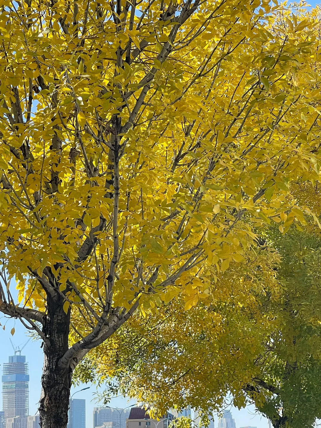 35岁的家｜好好吃饭，简单生活