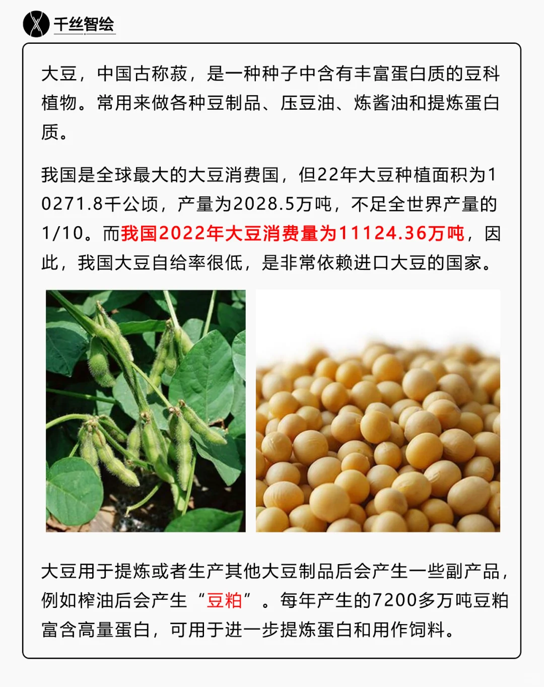 买大豆纤维制品前，请先完整了解下大豆纤维