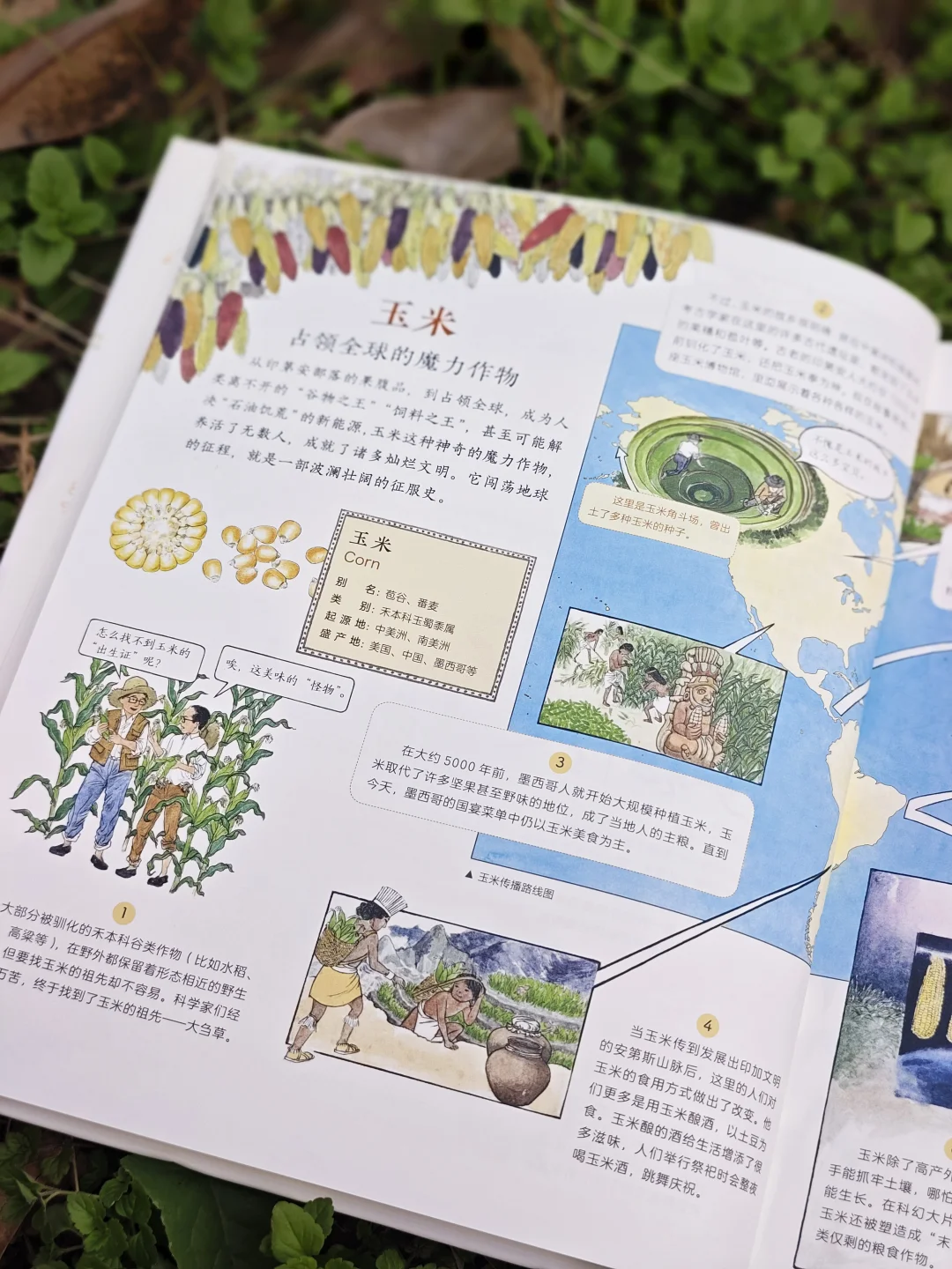 儿童农业科普绘本|纯手绘农作物科普