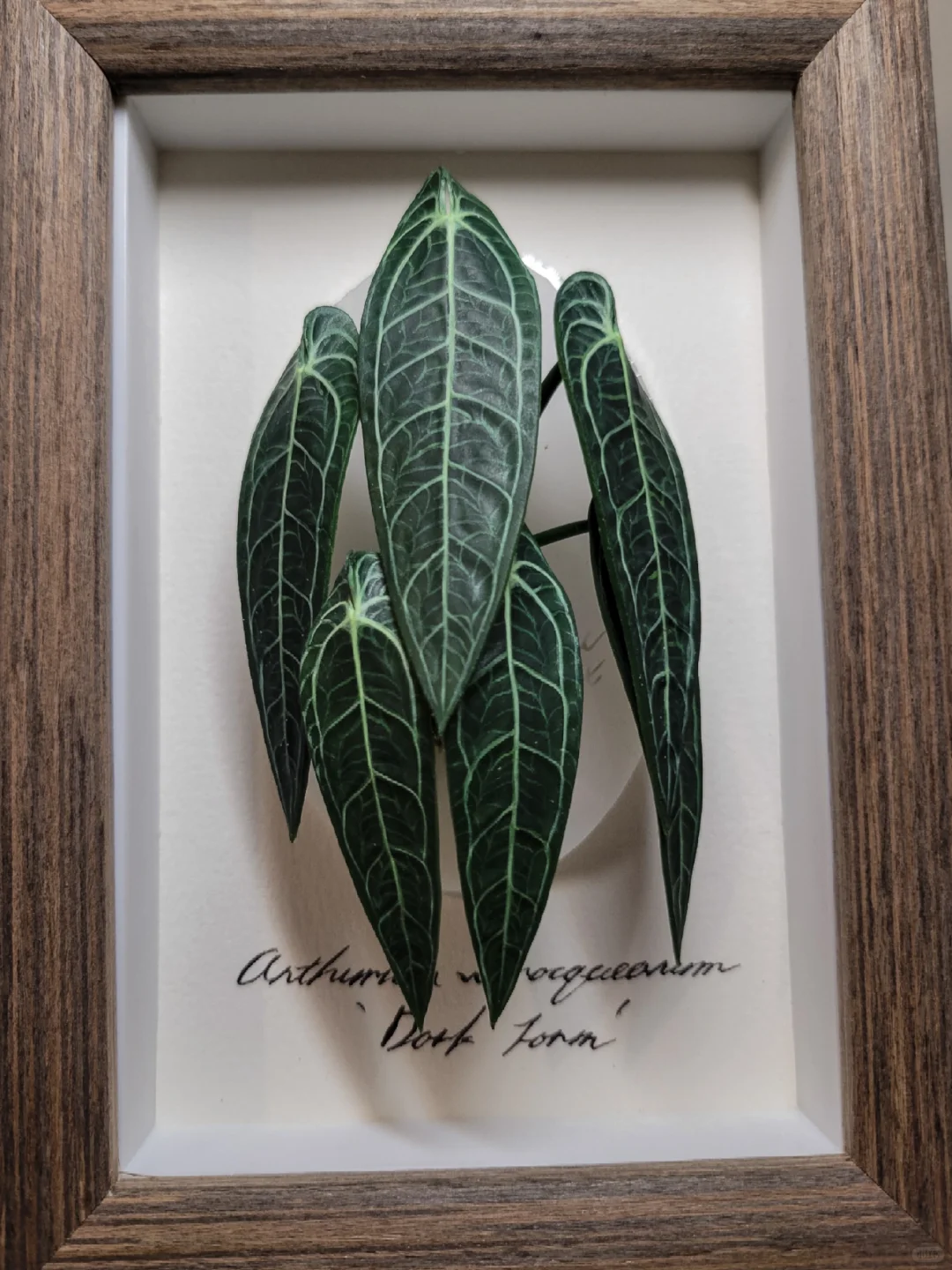 我想停止接单了