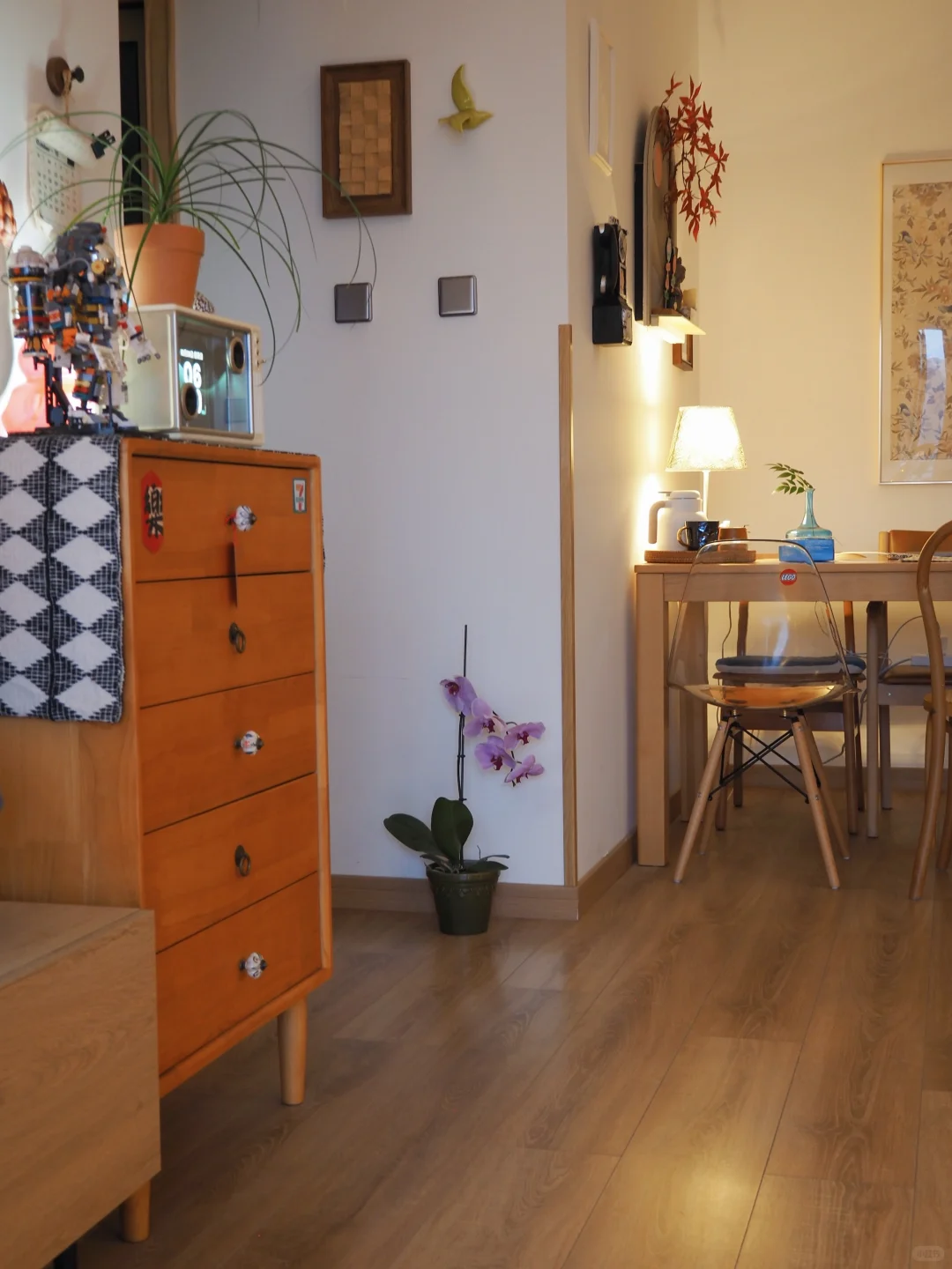 在过一种很我的生活