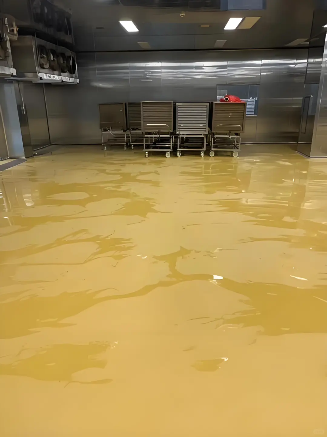 畜牧养殖场的地面新宠-水性聚氨酯砂浆