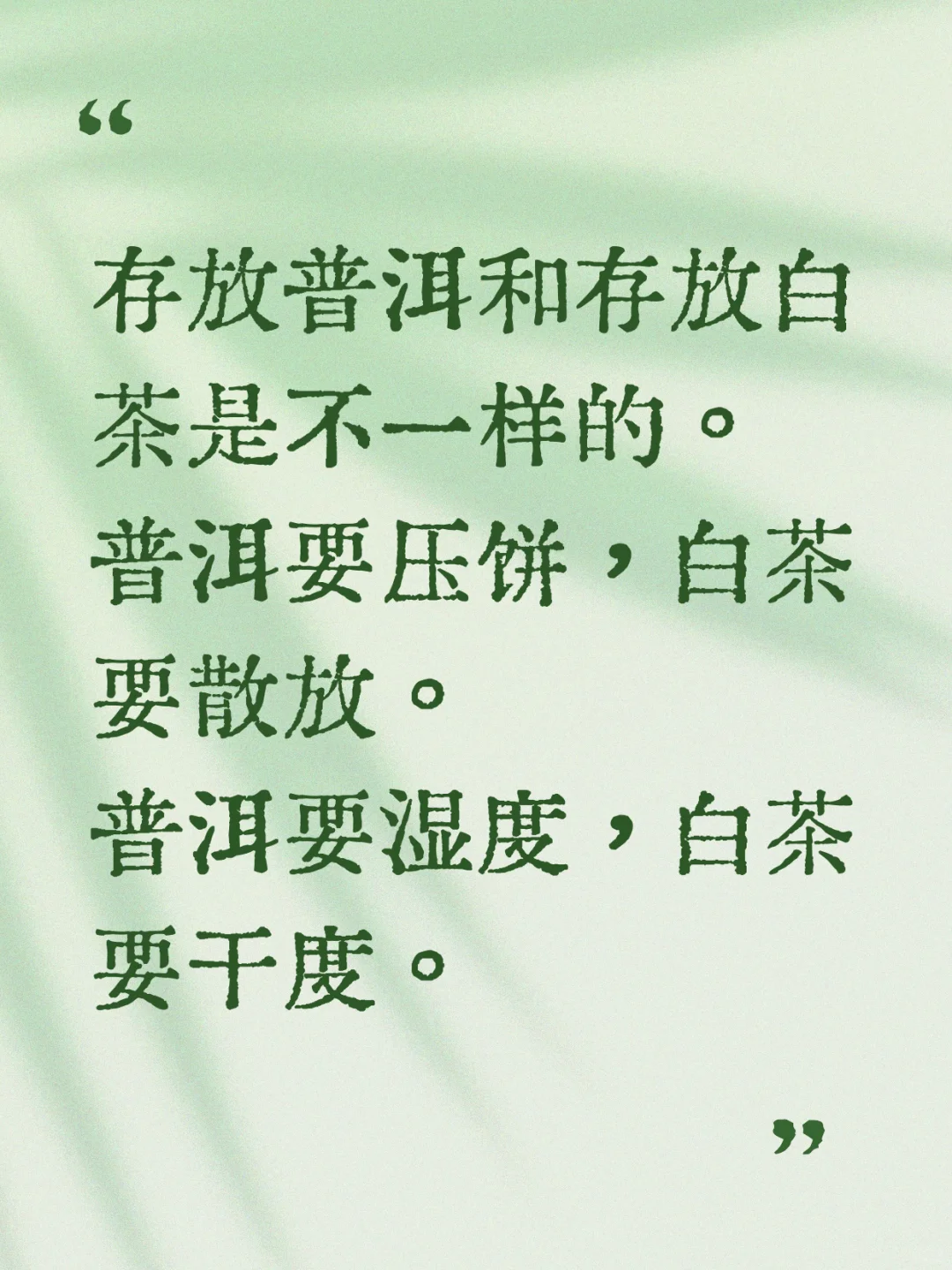 茶的阿芳｜存放普洱和白茶是不一样的