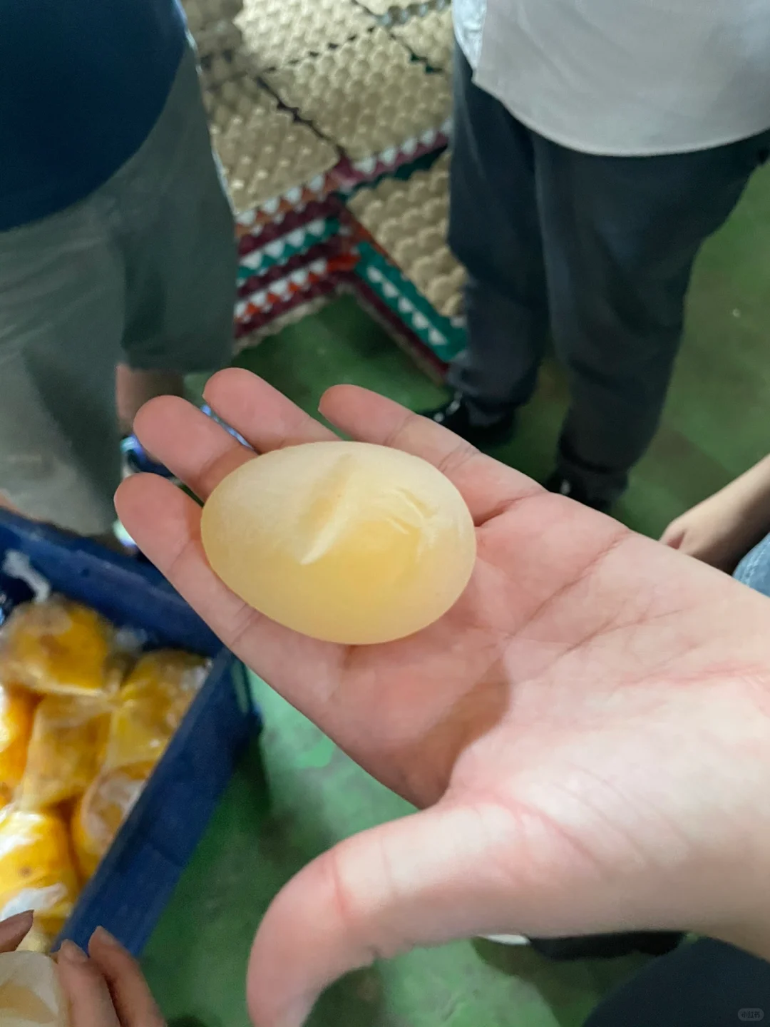 第一次去养鸡场参观