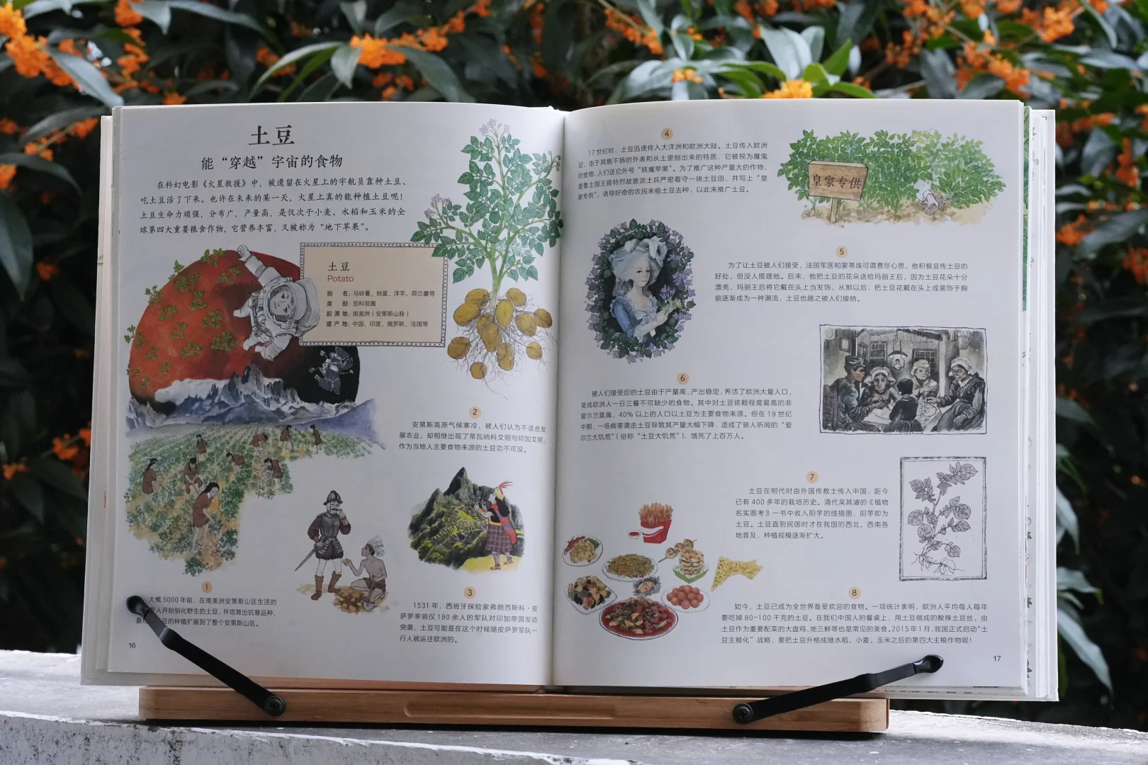 一起踏上作物之旅｜一本科普绘本