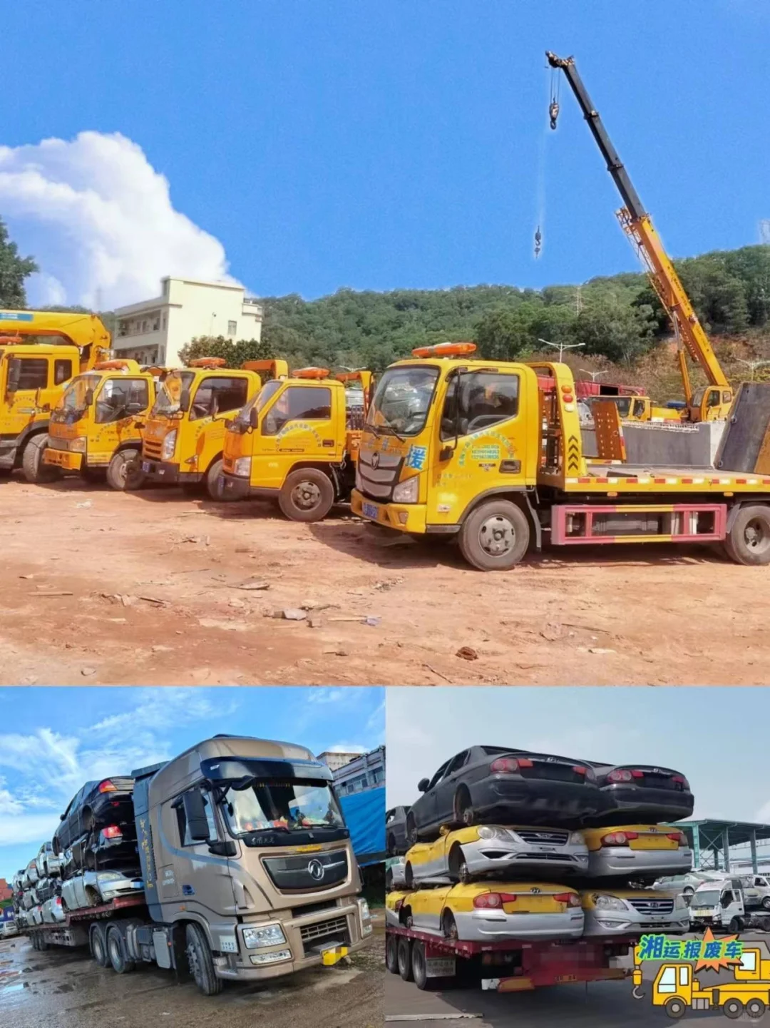 最火的汽车报废