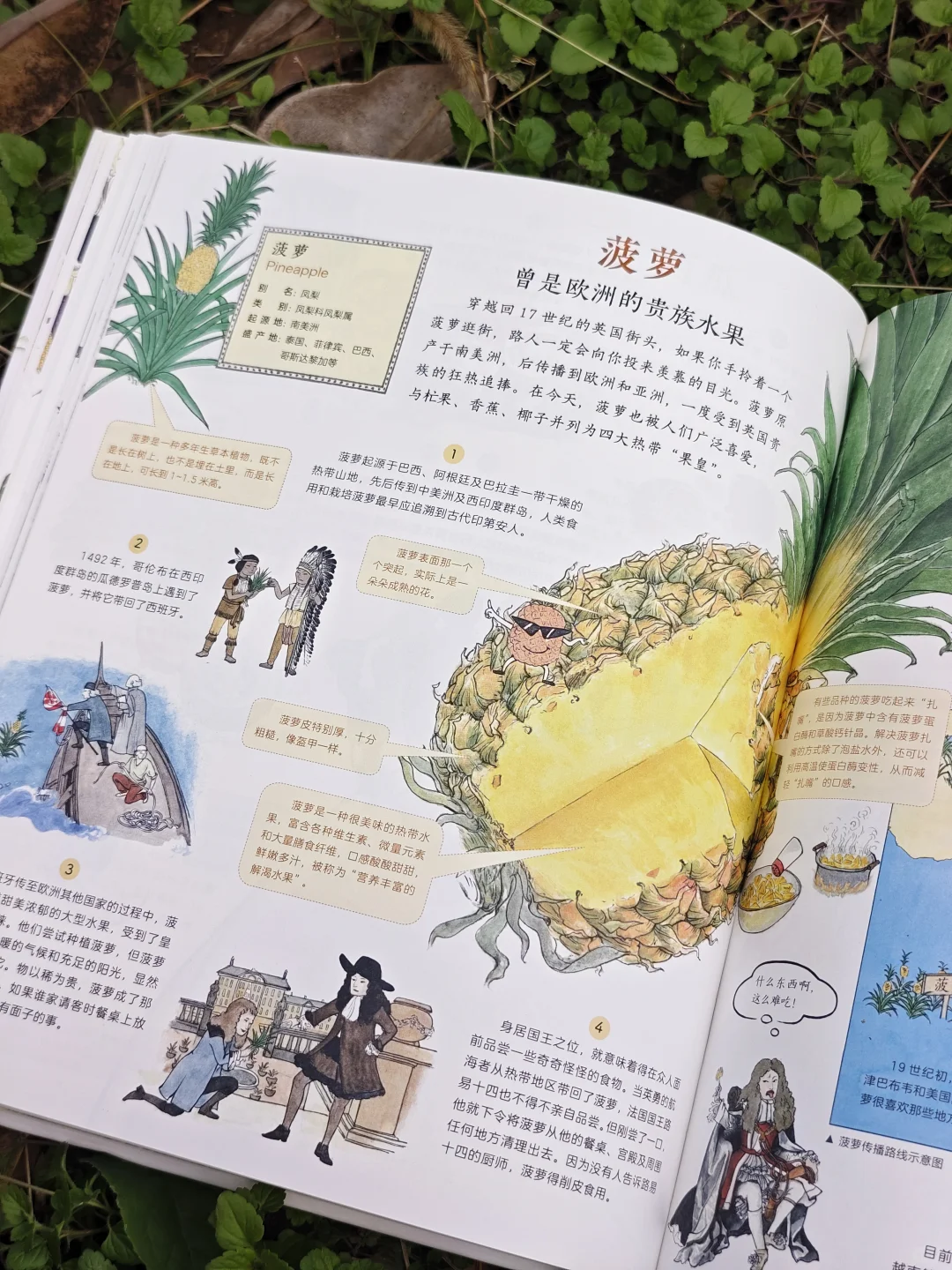 儿童农业科普绘本|纯手绘农作物科普