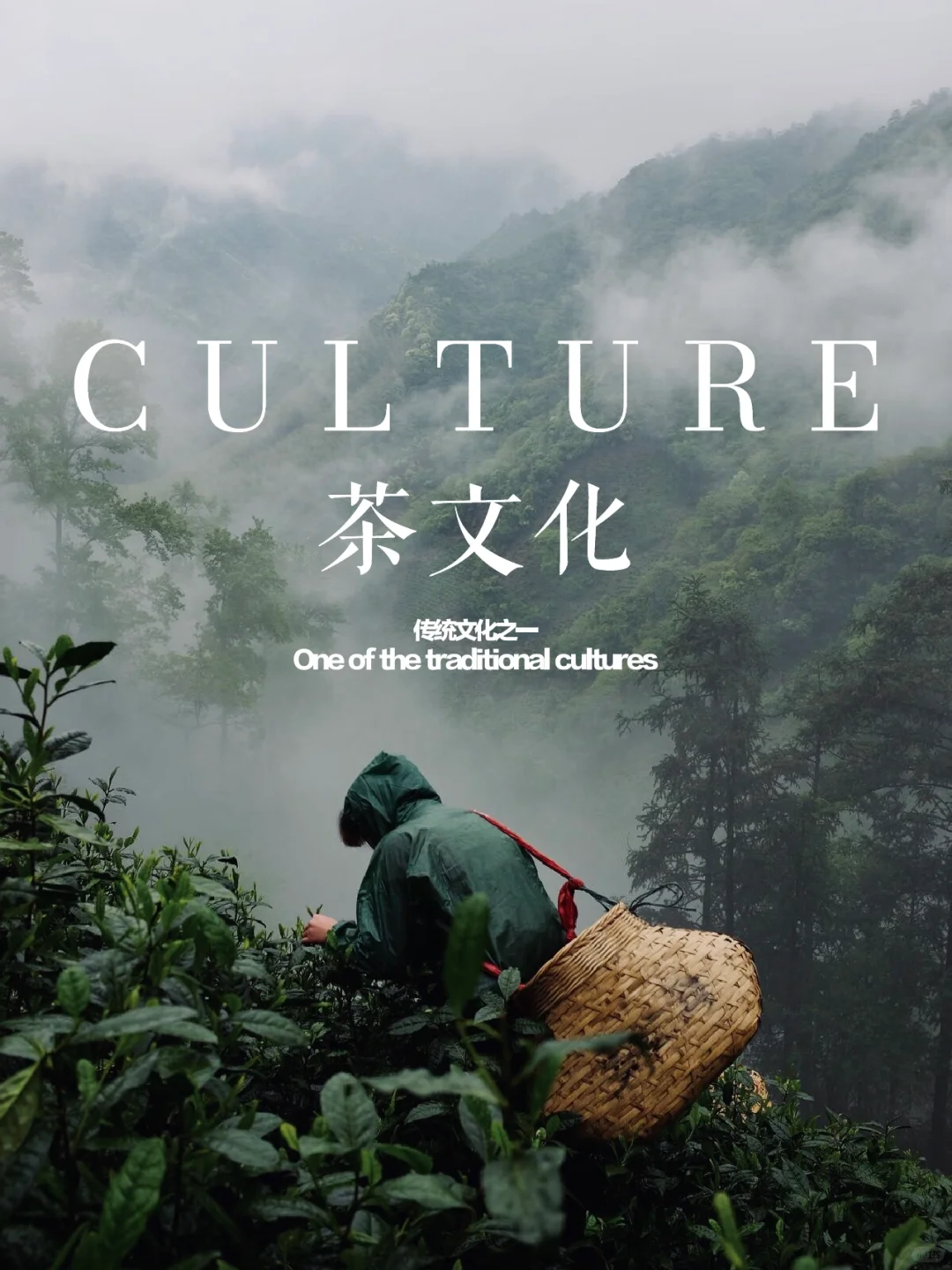 非遗“中国茶”