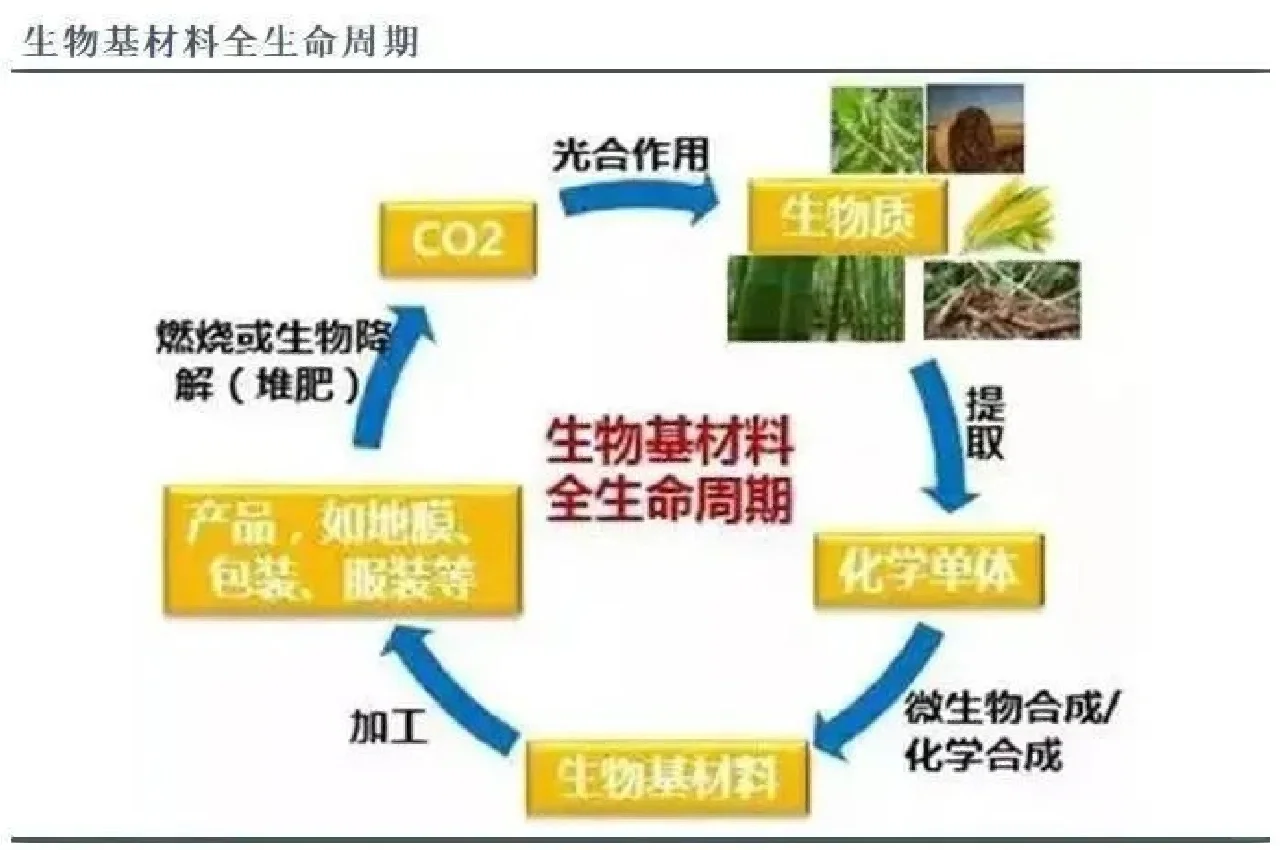 生物基材料和生物降解材料是完全不同的概念