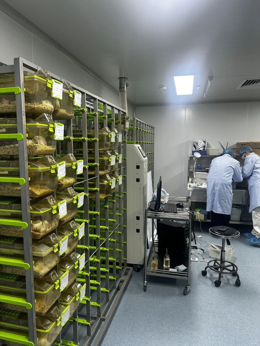 实验动物代养 | 科研路上的贴心小助手✨