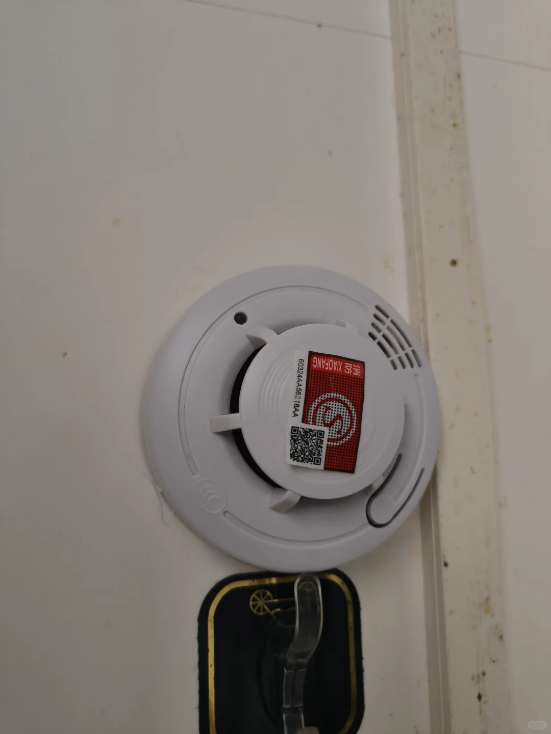 一直在挑衅我！！