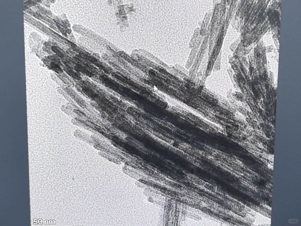 实验室买透射电镜 Talos F200X的第291天