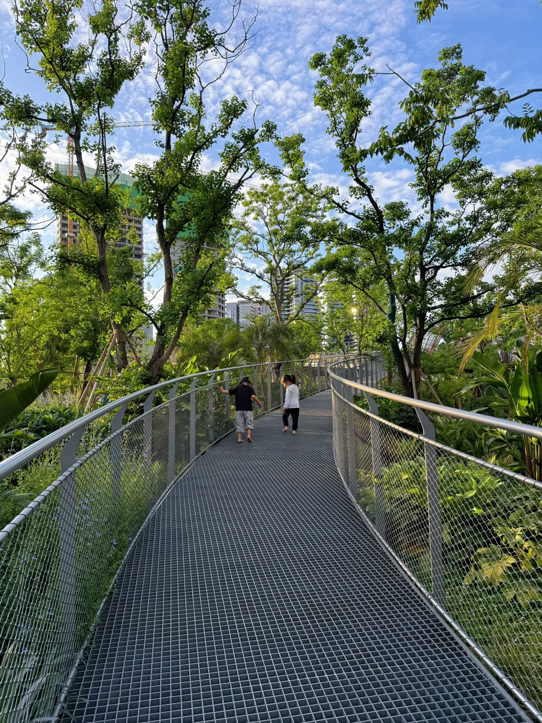 跟着成本逛麓湖-No.1 麓野公园景观桥