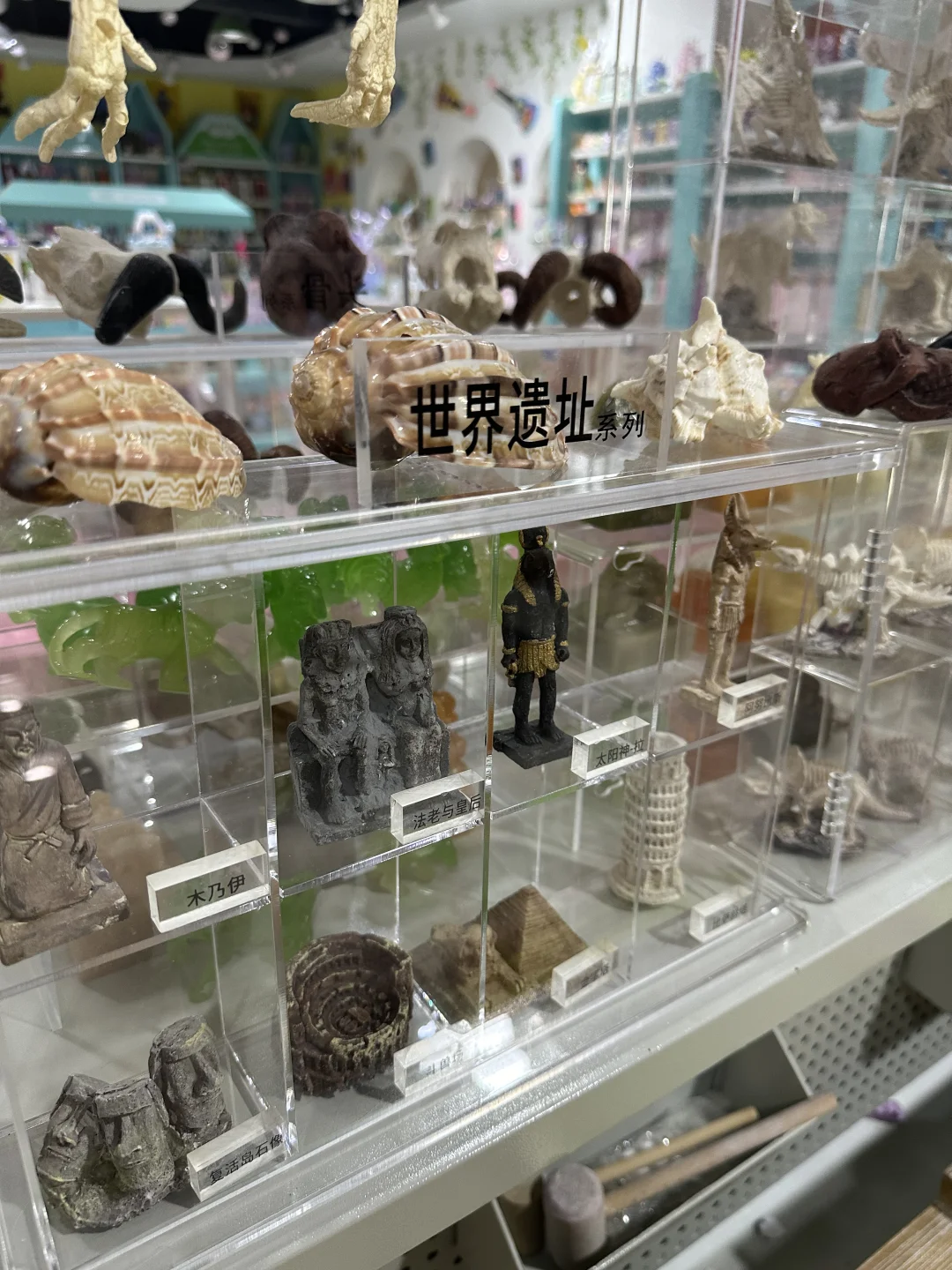 儿童考古项目是什么时候兴起的?