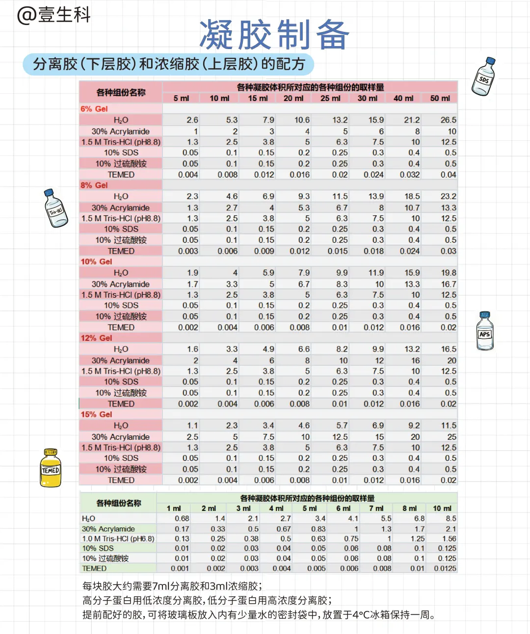 Western Blot蛋白质印迹实验全流程