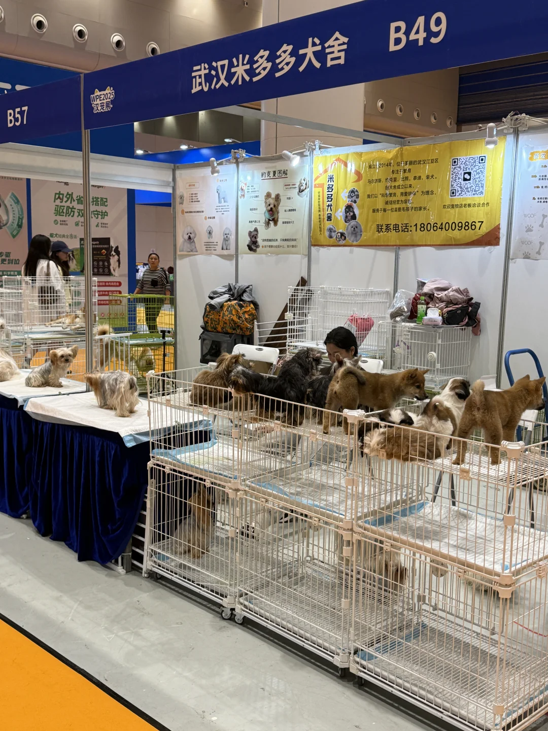 WPE汉宠展29.9的门票真不值