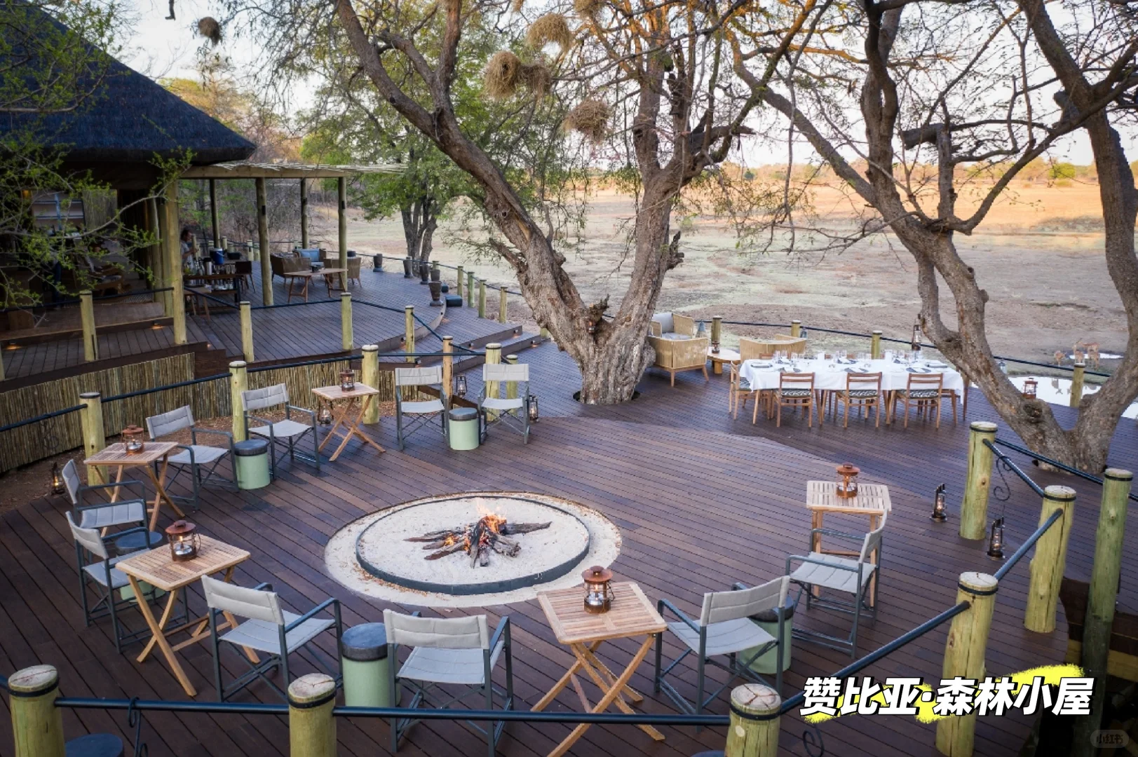 MOSO®极致竹在世界各处留下的足迹…