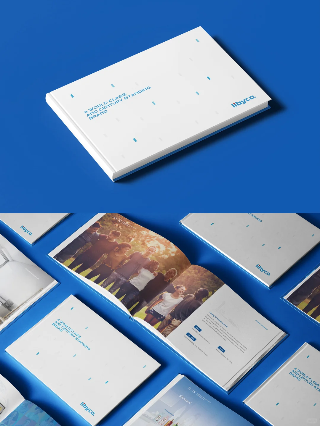 立白进军海外市场画册设计,设计与国际接轨