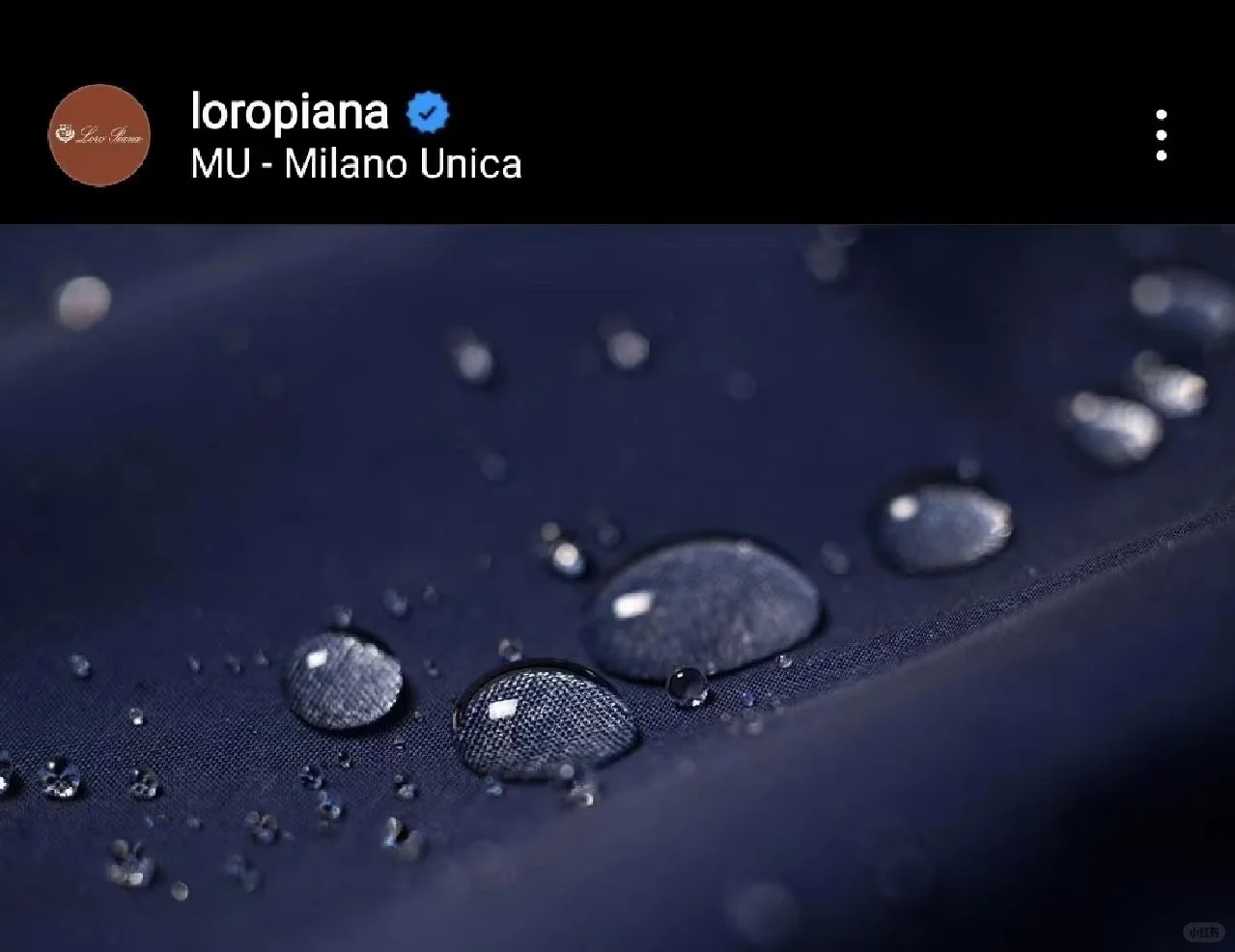 Loro Piana暴风雨系列面料