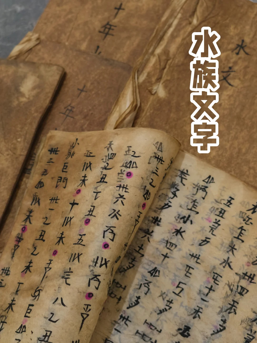 ?水族文字｜流淌在时光里的神秘符号