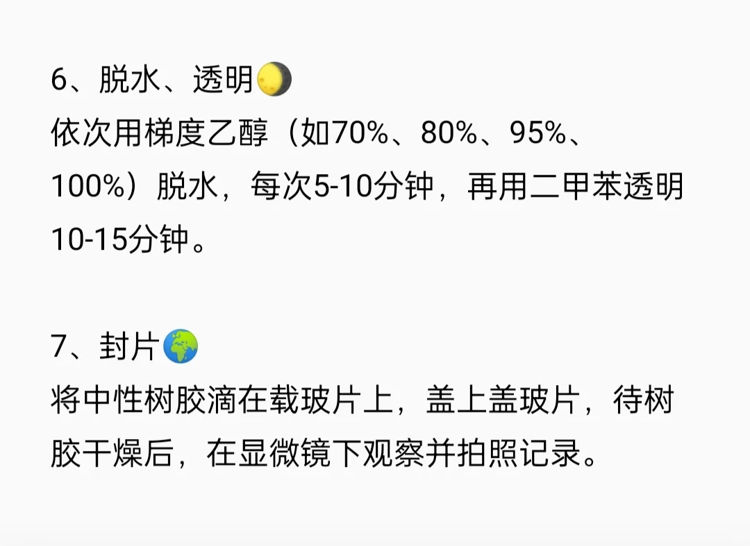 碱性磷酸酶（ALP）染色实验流程