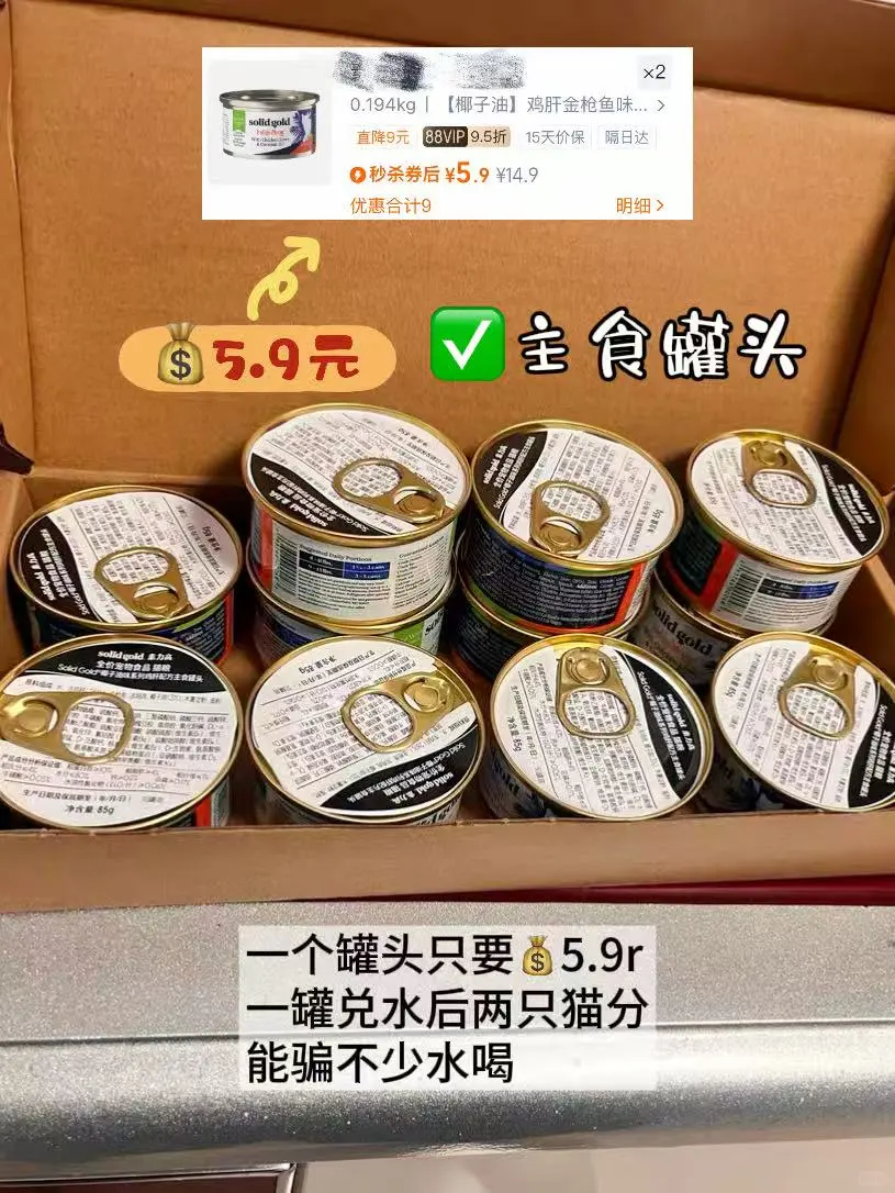 养猫好物|谁说低成本养不好猫的?