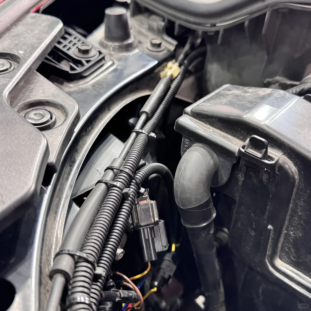 『思域FL5』AlphaRex Nova LED 大灯