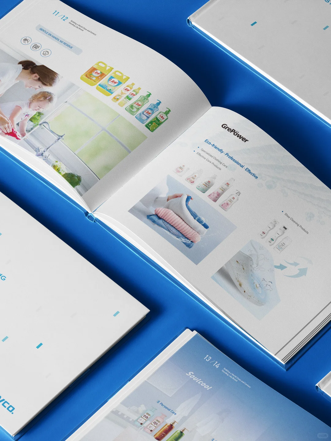 立白进军海外市场画册设计,设计与国际接轨