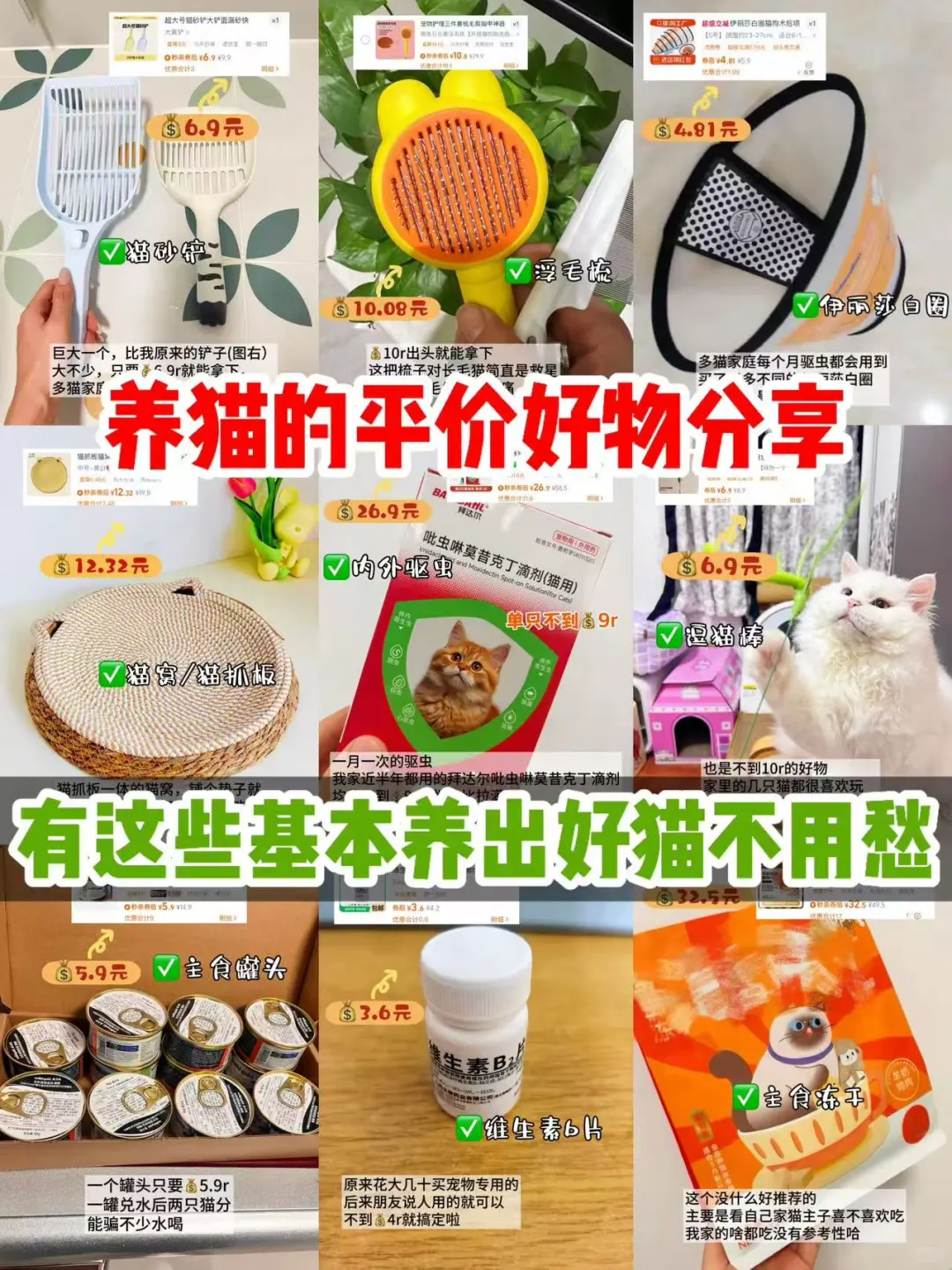 养猫好物|谁说低成本养不好猫的?