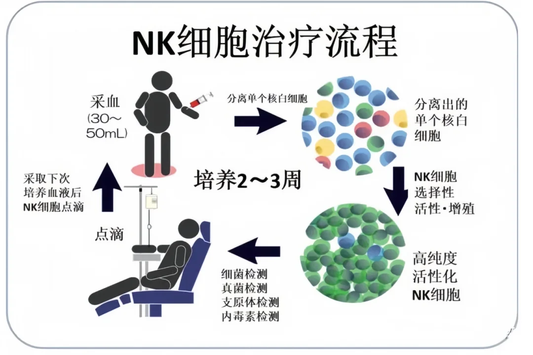 40岁后的亚健康人群,为何要定期回输NK细胞