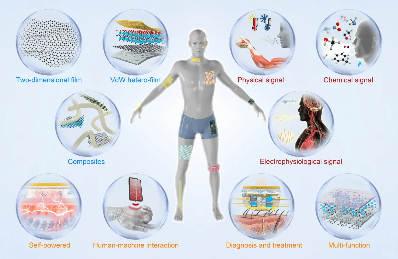 当“原子薄”遇上智能穿戴:开启柔性新时代