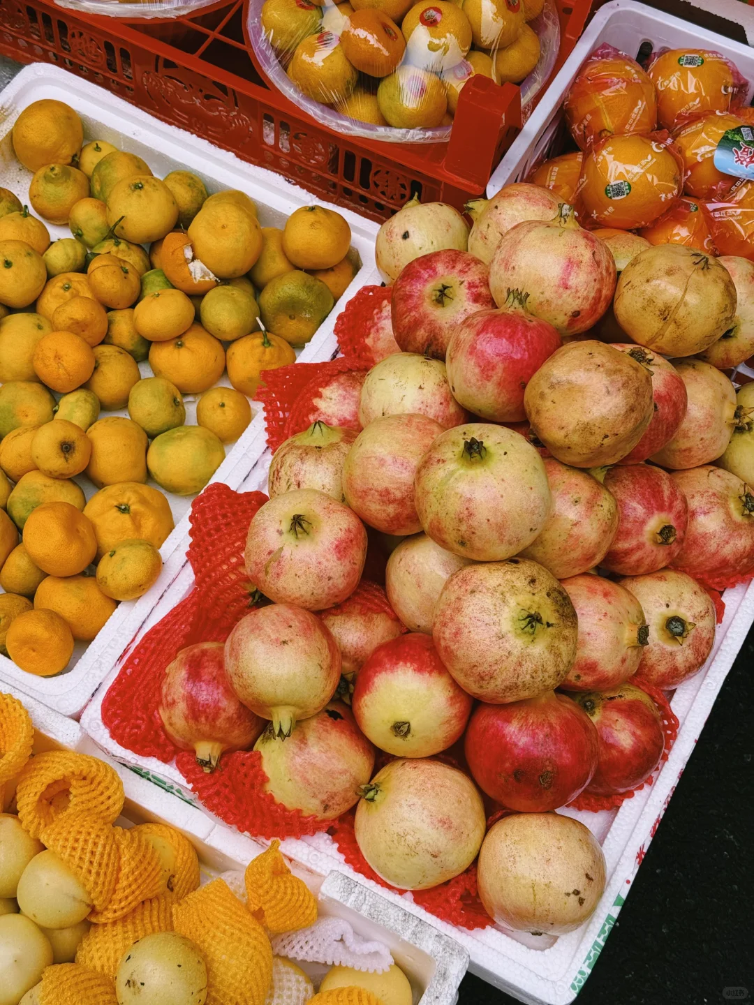 秋天果实累累的生命力！