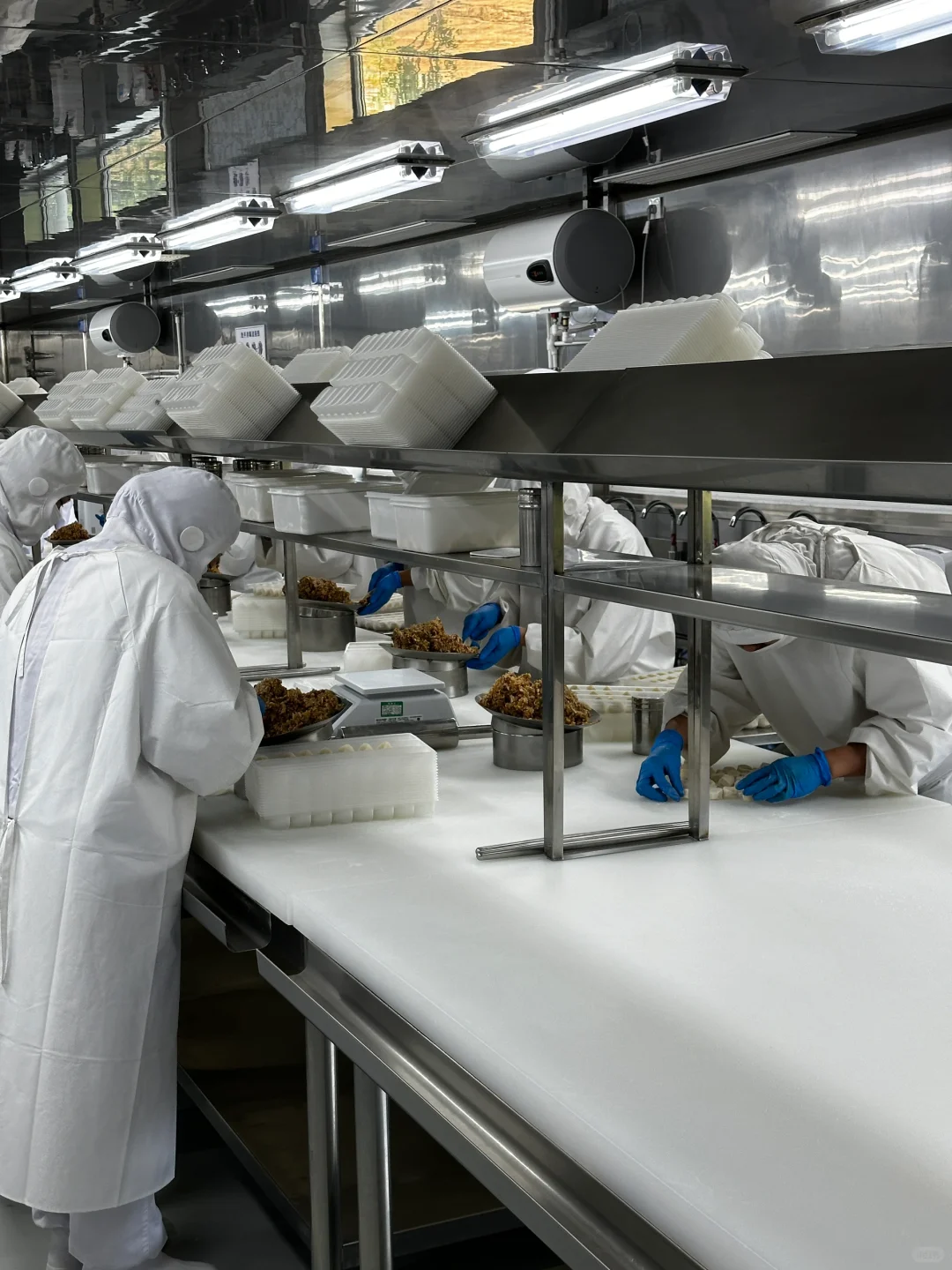 探秘速冻饺子工厂