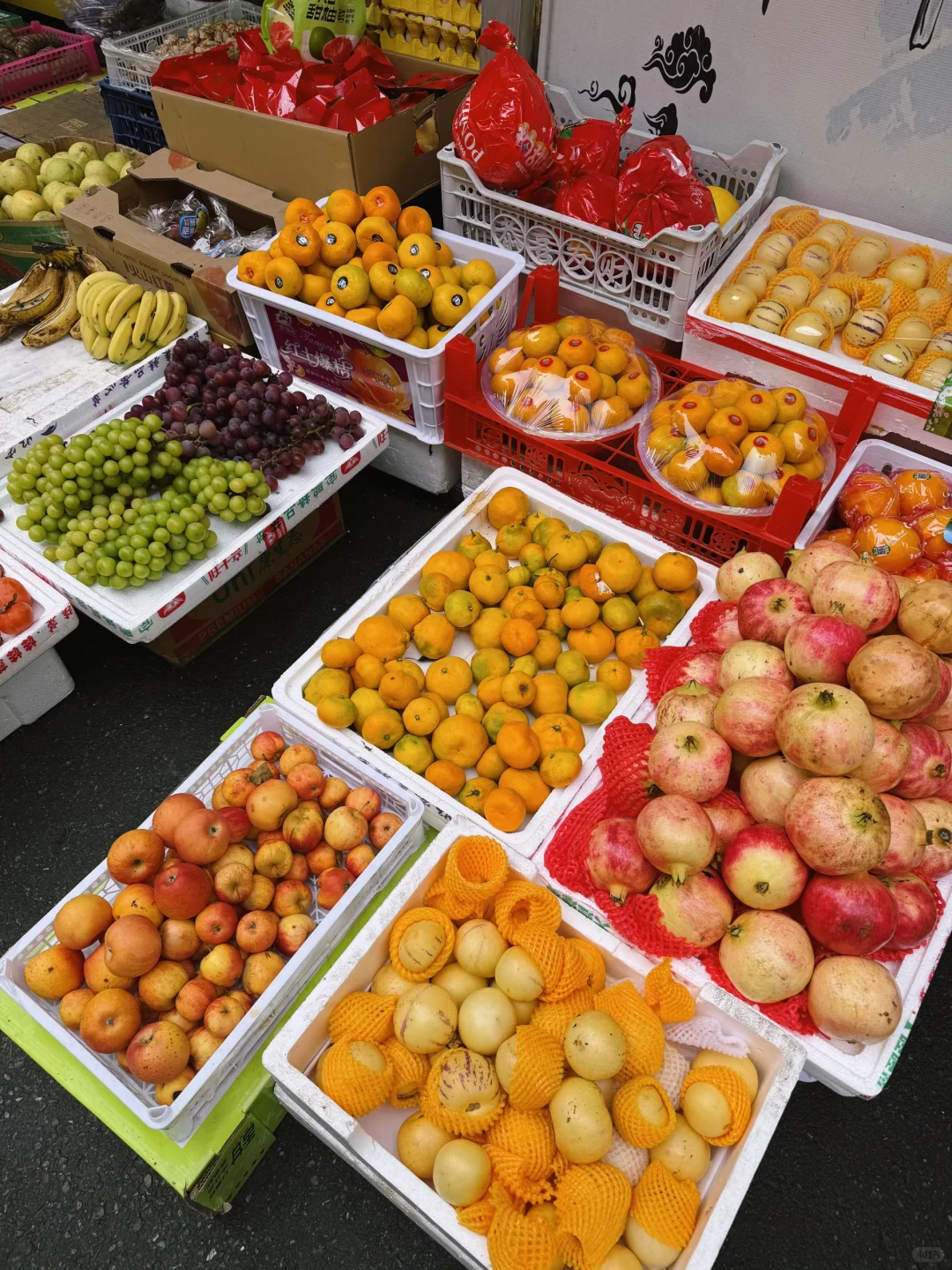 秋天果实累累的生命力！